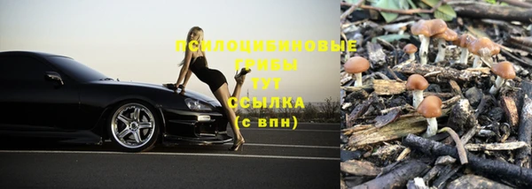 марки lsd Михайлов
