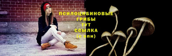 каннабис Михайловка
